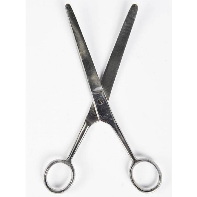 FORBICE INOX CURVA PER PASTOIE Forbici 